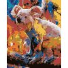 ZUTY Maľovanie podľa čísel - FAREBNÁ KOALA Rámovanie: bez rámu a bez vypnutia plátna, Rozmer: 40x50 cm