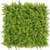 Moss coral yellow, dielec 50 x 50 cm (Realistická imitácia machu - vyššia hustota)