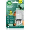 Air Wick Blue Eucalyptus & Cedarwood elektrický osviežovač vzduchu s náplňou 19 ml