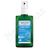 WELEDA Šalvějový deodorant 100ml