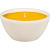 Nohel Garden CITRONELLA MERKUR 15x7cm