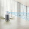 Dyson Purifier Big+Quiet BP02