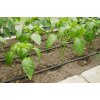 Zavlažovanie skleníka Limes Tandem M , 4,5m 4.5-5m