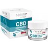Cannabellum CBD regeneračný krém, 50 ml