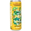 Coconaut GoHigher! 100 % kokosová voda s ananásom 12 x 320 ml
