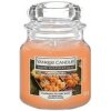 Yankee Candle Pumpkin Harvest 104 g