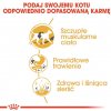 Royal Canin Siamese Adult 2 kg