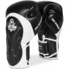 BUSHIDO Boxerské rukavice DBX BB5 - 10oz