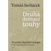 Druhá derivace touhy Na prahu digitální teologie