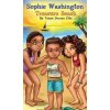 Sophie Washington: Treasure Beach (Ellis Tonya Duncan)