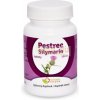 Natural Pharm Pestrec Silymarin 100 tabliet