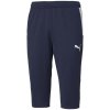 Puma teamLiga Training 3/4 Pants M 657271 06 (180402) Black/Green M