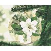 ZUTY Maľovanie podľa čísel - ZIMNÉ MAGNÓLIE NA STROMČEKU (HALEY BUSH) Rámovanie: vypnuté plátno na rám, Rozmer: 80x100 cm