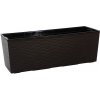 Nohel Garden Truhlica BEGONIA PROUTI plast 56x19x19cm