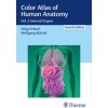 Color Atlas of Human Anatomy