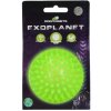 Dog Comets Exoplanet ježatá lopta zelená M/8cm