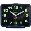PREHĽADNÝ BUDÍK CASIO TQ-218-2EF ALARM NEOBRIDE
