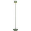 TRIO Reality R47706149 SUAREZ vonkajšia stojacia lampa SMD LED V1230mm 1,5W/200lm 3000K IP44 pistáciová, nabíjateľná batéria, USB-C port, ON/OFF