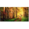 Foto obraz akrylový Jesenný les 100x50 cm