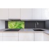 DIMEX | Dibond doska za kuchynskú linku | DBW-08040-048 Žilky listov| 80 x 40 cm + Dibond obkladová doska Dimex do kuchyne Žilky listovv rozmere 80 x 40 cm