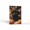 Halloween Čierna mačacia čarodejnica | Obrazy Vintessia Rozmery obdĺžnik: 60x90