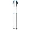 Black Diamond EXPEDITION 2 PRO SKI POLES