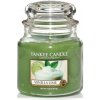 Yankee Candle Aromatická sviečka Classic strednej Vanilla Lime 411 g