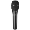 Audio-Technica AT2010