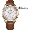Pánské hodinky CITIZEN Classic AW1753-10A, možnosť vrátenia tovaru do 12 mesiacov