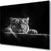 Sklenená doska na krájanie Tiger 60x52 cm