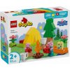 LEGO® DUPLO® Prasiatko Peppa 10453 Zábavný park