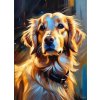 Norimpex diamantové maľovanie Portrét labradorského retrievera 30 x 40 cm