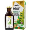 Salus Floradix Gallexier 250 ml