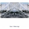 Waters rings - Ensoi LP
