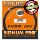 Signum Pro Tornado 12m 1,17mm