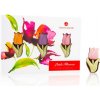 Chocolissimo - Tri farebné tulipány z horkej čokolády 45 g