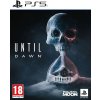 Until Dawn (PS5)