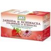 Fytopharma Ovocno bylinný čaj Jahoda + Echinacea 20 x 2 g