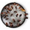 Voda v géli pre hmyz TerraQuality Aqua Bite 250 g