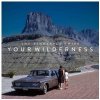 LP PINEAPPLE THIEF YOUR WILDERNESS