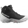 Salomon Crosstrak WP - Black/Black/White 46 2/3