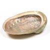 Nefertitis Abalón mušle leštená vykurovacia miska L 16 až 18 cm NF19944 - cca 16,5 až 18 cm