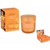 Bartek Candles Pumpkin Spice Semi Dry 150g