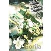 Is It Wrong to Try to Pick Up Girls in a Dungeon?, Vol. 13 light novel Omori FujinoPaperback softback