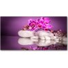 Foto obraz sklo tvrzené ružová orchidea 100x50 cm