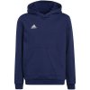 Sweatshirt adidas Entrada 22 Hoody Jr H57517 (92428) Black 128 cm