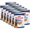 Royal Canin Maxi Adult konzerva 12 x 410 g