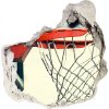 Fototapeta diera na stenu Basketbal 75x75 cm