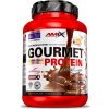 Amix Nutrition Gourmet Protein 1000 g čučoriedka - jogurt