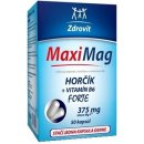 MaxiMag Hořčík 375 mg+B6 50 toboliek